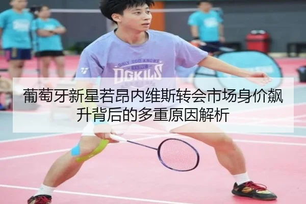 葡萄牙新星若昂内维斯转会市场身价飙升背后的多重原因解析