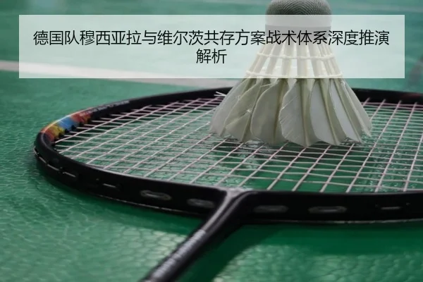 德国队穆西亚拉与维尔茨共存方案战术体系深度推演解析
